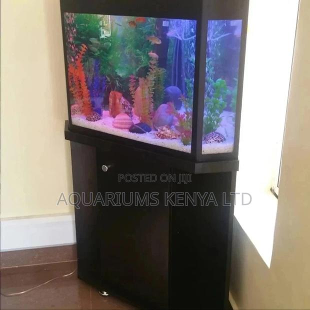 Pentagon Aquarium , Custom Made in the Shape of the Room