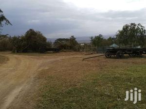 Naivasha (Crater Lake) 21.1 Acres Fronting Lake