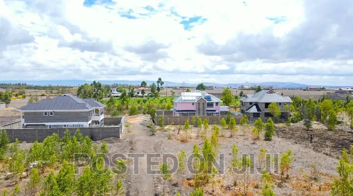Ready to Settle Kamulu Plots.^CN