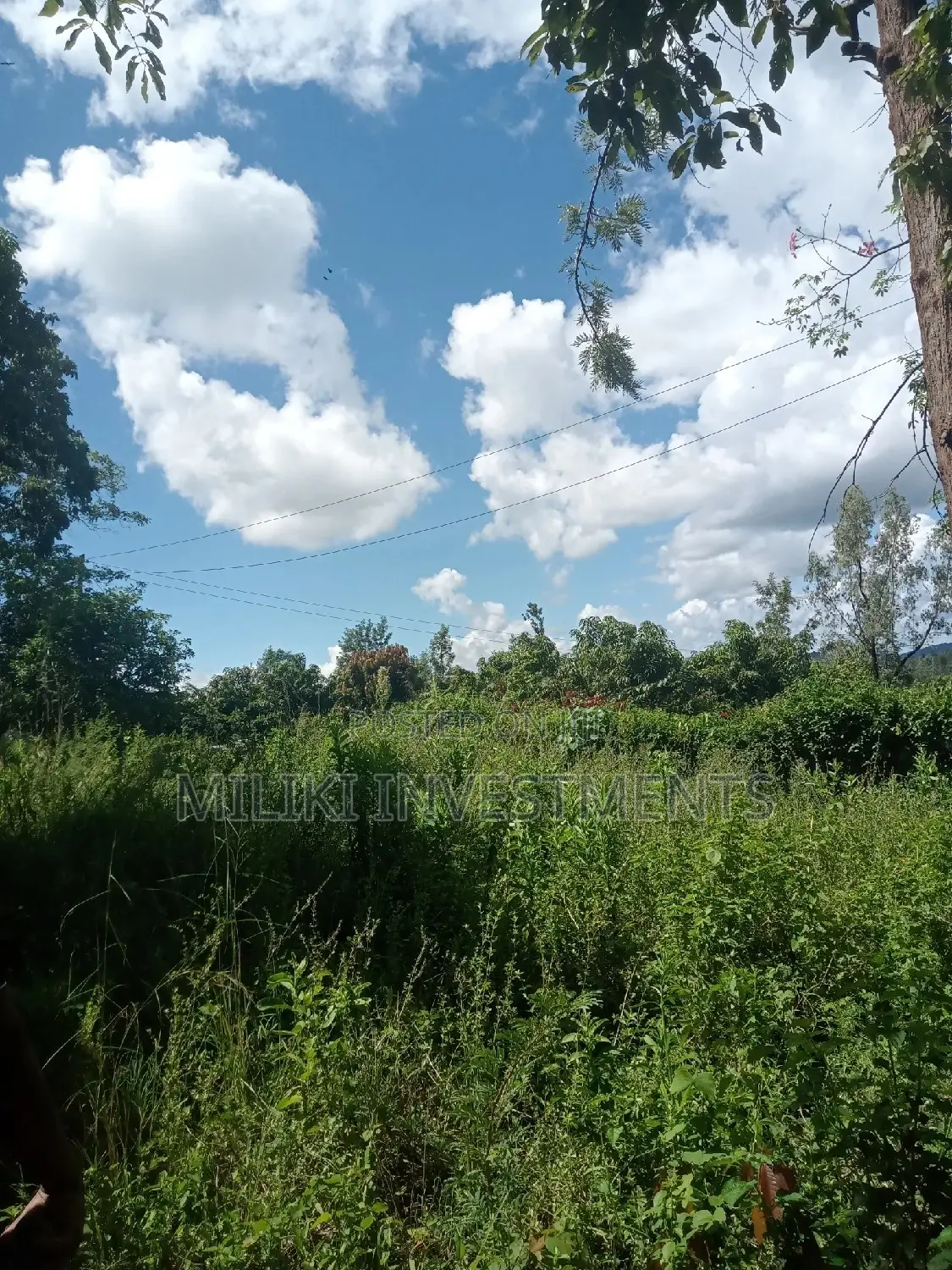 An Acre of Land on Sale at Sabasaba