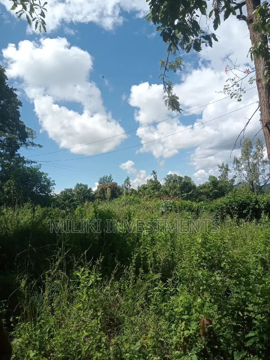 An Acre of Land on Sale at Sabasaba