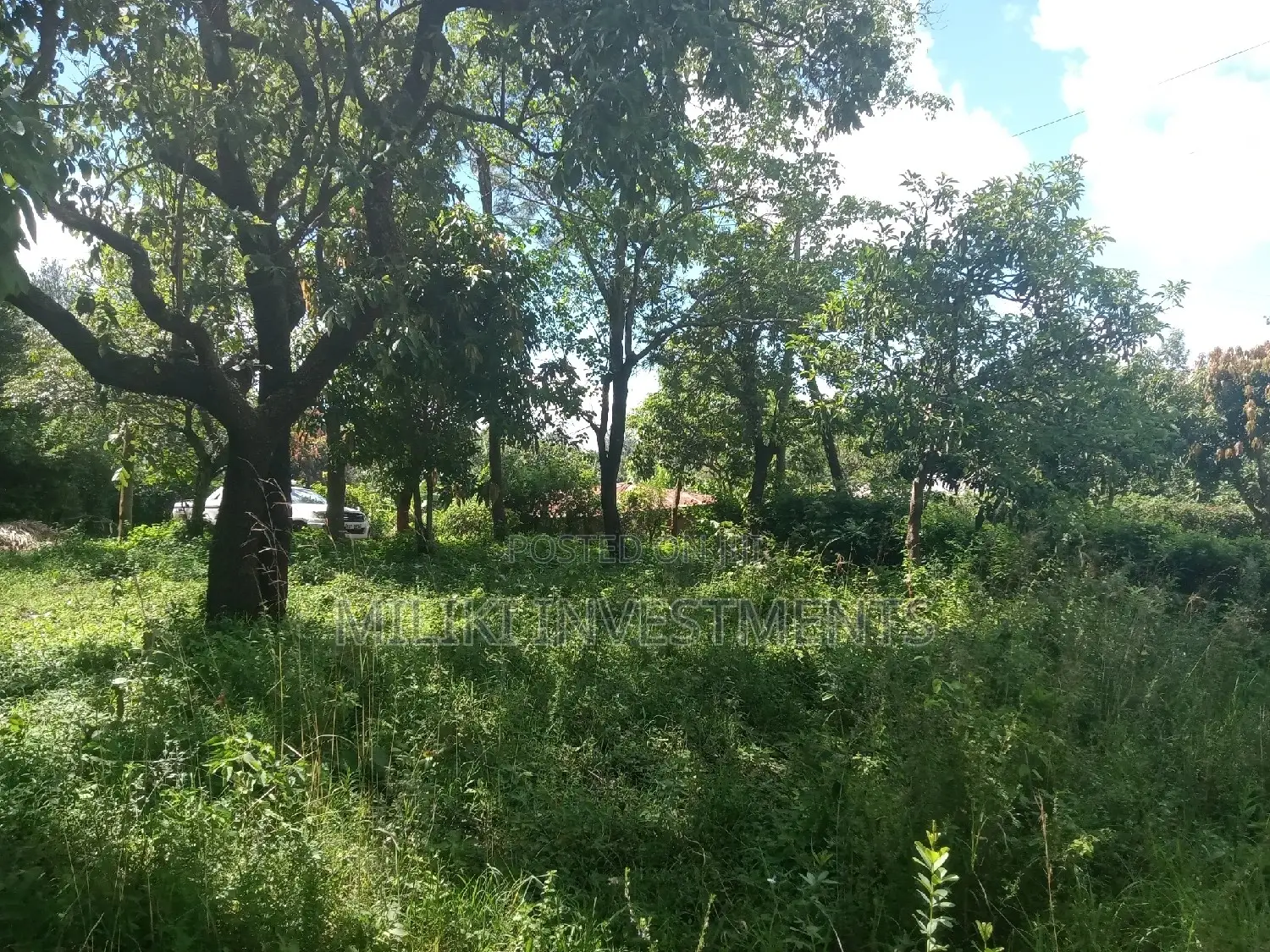 An Acre of Land on Sale at Sabasaba