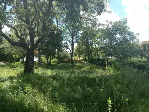 An Acre of Land on Sale at Sabasaba