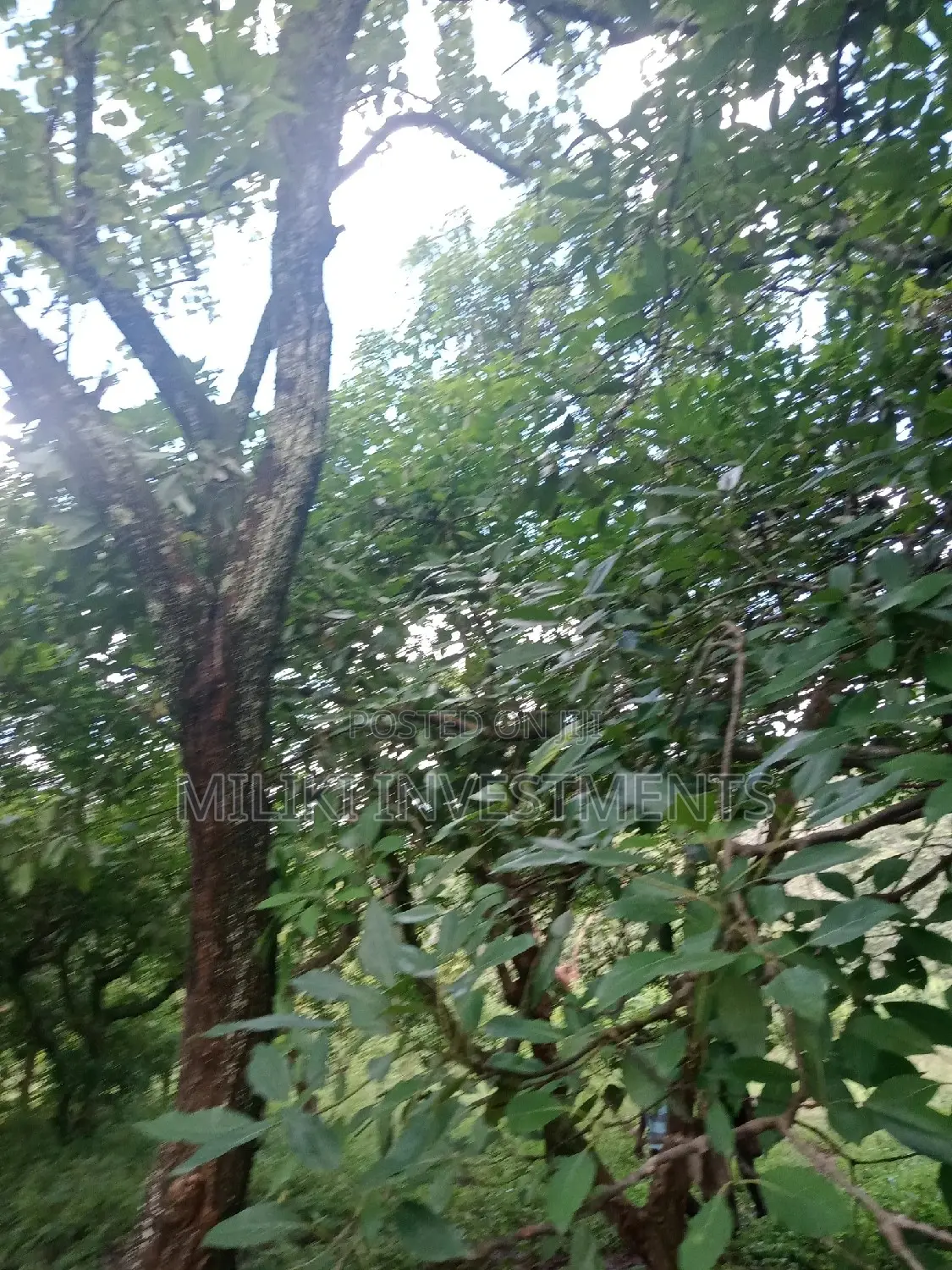 An Acre of Land on Sale at Sabasaba