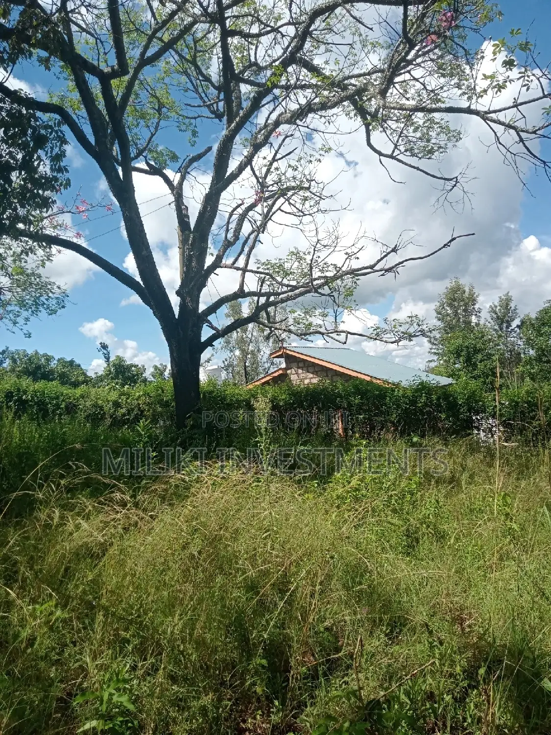 An Acre of Land on Sale at Sabasaba