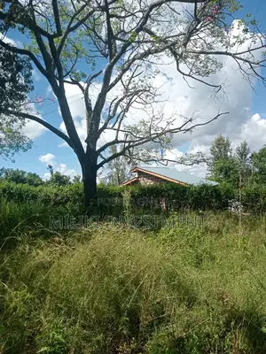 An Acre of Land on Sale at Sabasaba