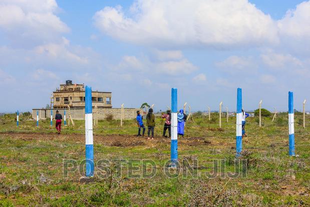 A Piece of Kamakis ^ME - main view