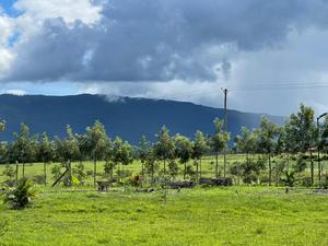 Plot for Sale - thumbnail 2