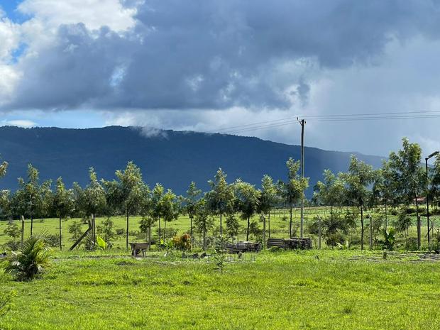 Plot for Sale - main view