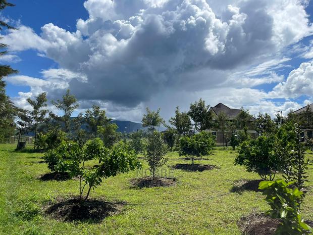 Plot for Sale - thumbnail 4