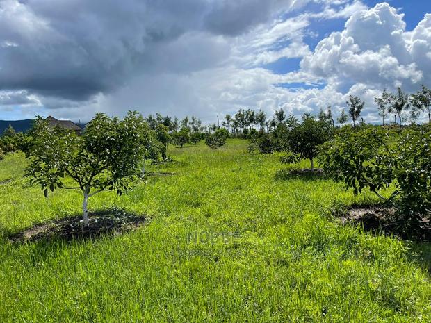 Plot for Sale - thumbnail 5