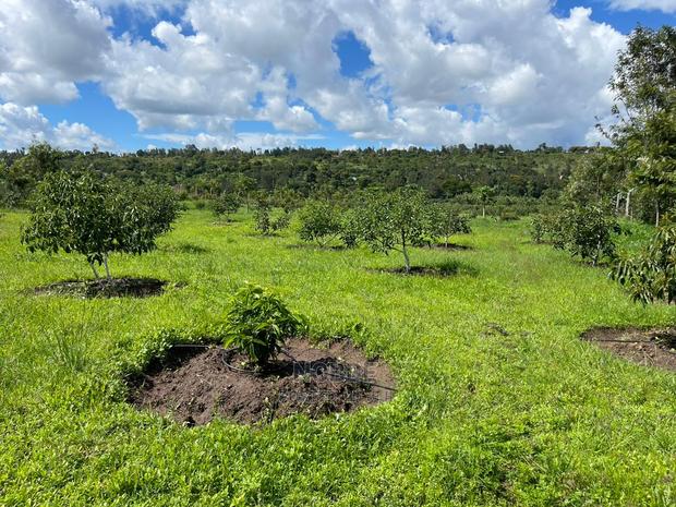 Plot for Sale - thumbnail 6