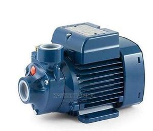 Economical Pedrollo PKM60 Pump - main view