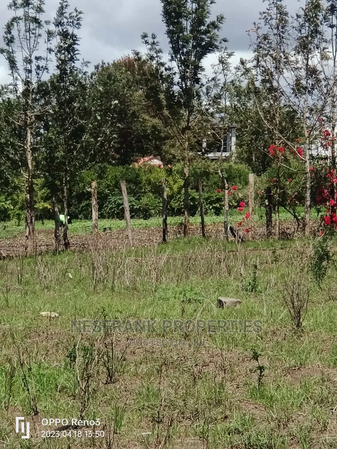 Kitengela Kisaju Plots Size 50*100