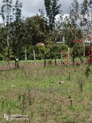 Kitengela Kisaju Plots Size 50*100