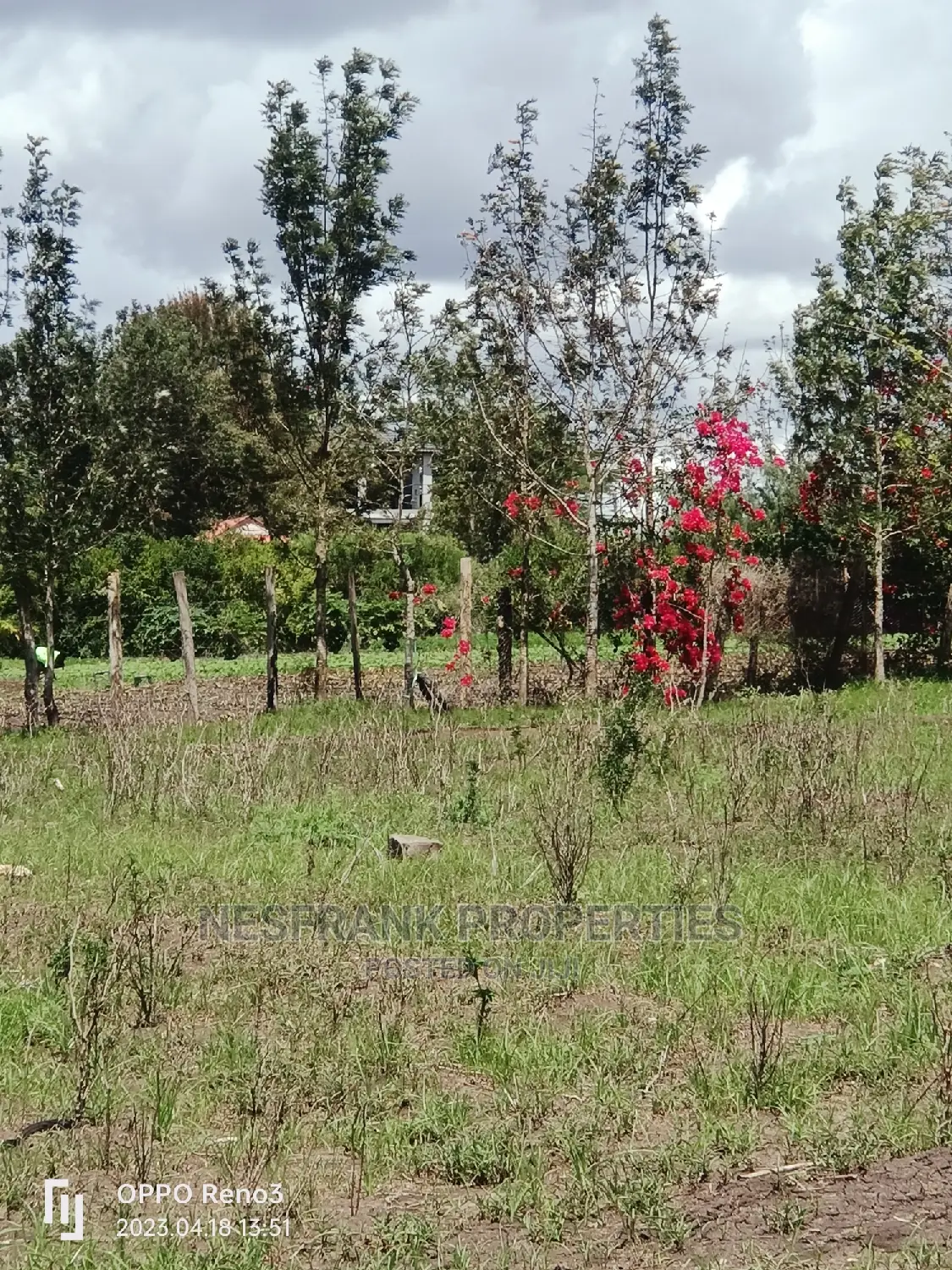 Kitengela Kisaju Plots Size 50*100