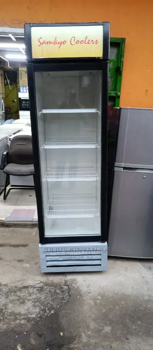 Display 540l Chiller