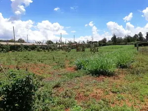 100x100 0.1ha Prime Residential Plot for Sale in Gikambura