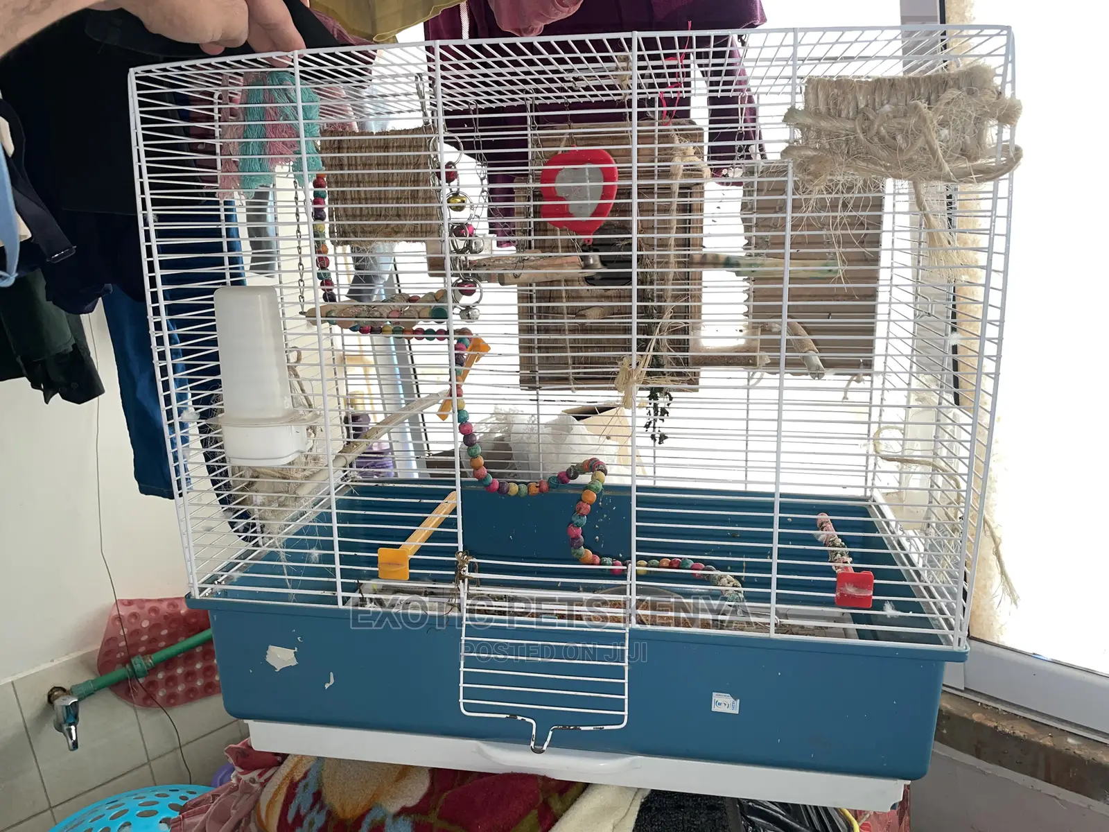 Budgie/Cockatiel Breeding Cages