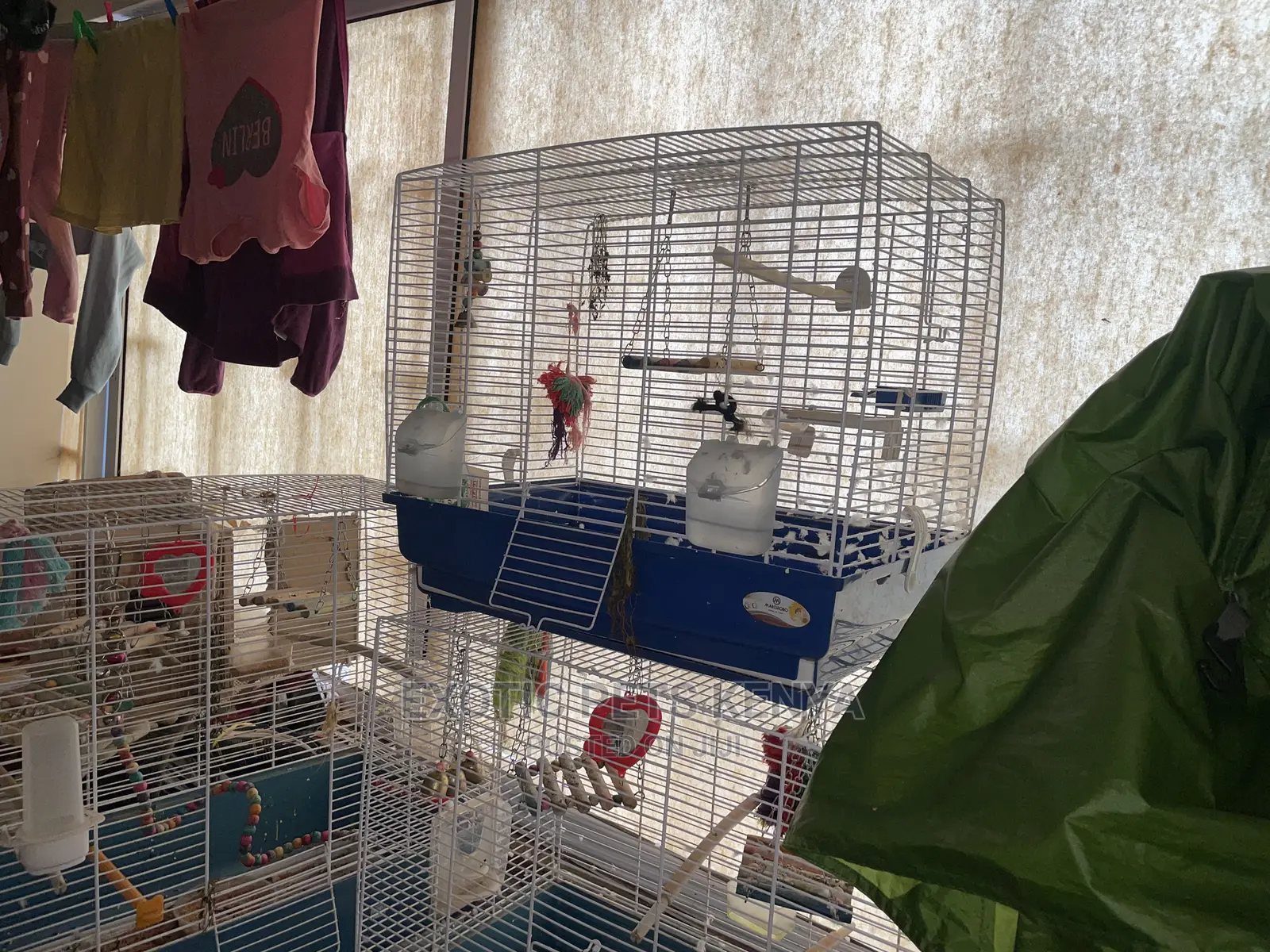 Budgie/Cockatiel Breeding Cages