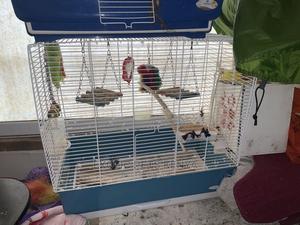 Budgie/Cockatiel Breeding Cages - thumbnail 2