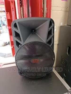 12 Inch Rechargeable Portable PA Speaker