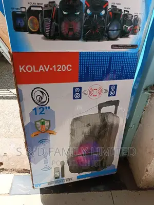 12 Inch Rechargeable Portable PA Speaker