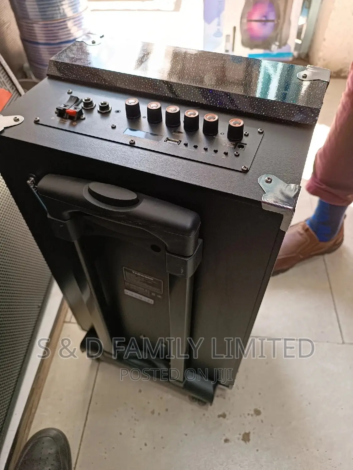 Tagwood 10 Inch Powered Speaker