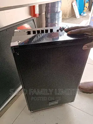 Tagwood 10 Inch Powered Speaker