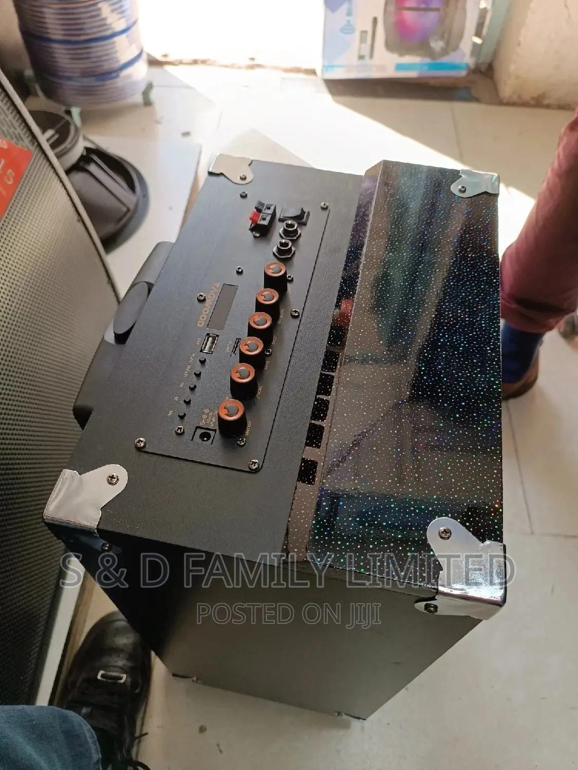 Tagwood 10 Inch Powered Speaker
