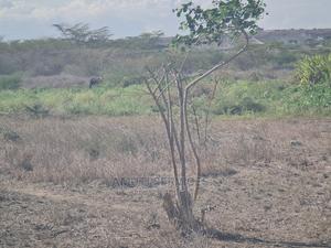 20 Acres Commercial Land - main view