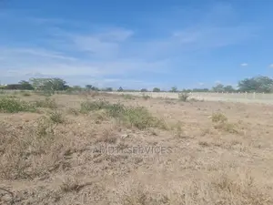20 Acres Commercial Land