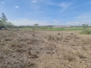 20 Acres Commercial Land