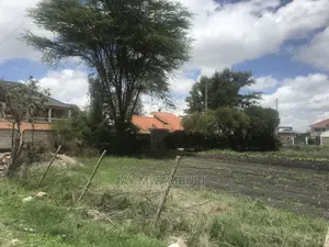 Gated 100 by 100 Plot Syokimau