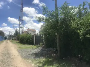 Gated 100 by 100 Plot Syokimau