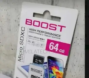 64 GB Boost Micro SD Card (Memory Card)