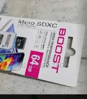 64 GB Boost Micro SD Card (Memory Card)