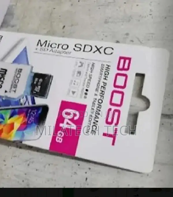 64 GB Boost Micro SD Card (Memory Card)