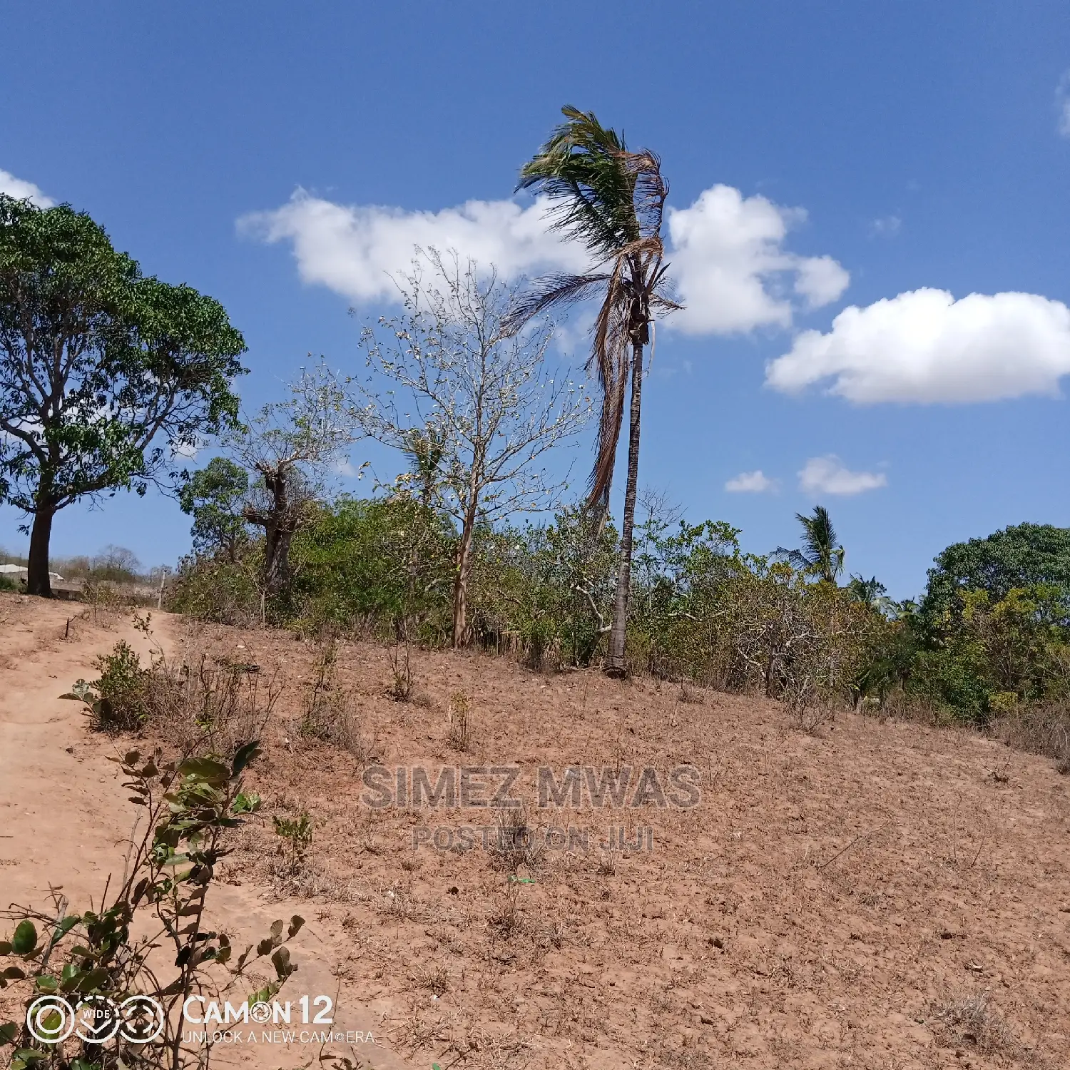 Plot For Sale At Mazeras in Jomvu Land & Plots for Sale, Simez Mwas