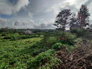 Croton Estate Kenyatta Road - thumbnail 2