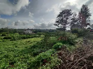 Croton Estate Kenyatta Road
