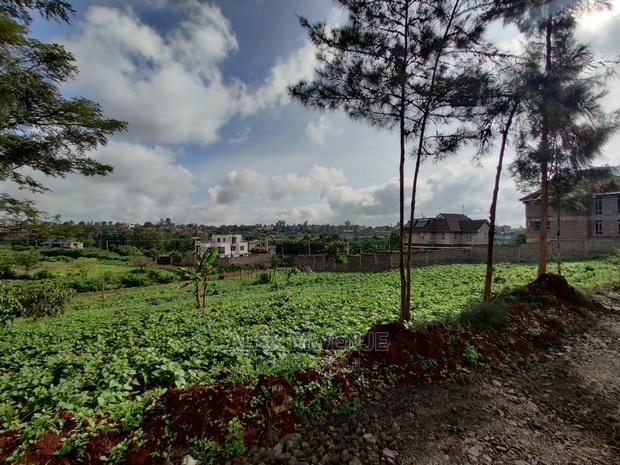 Croton Estate Kenyatta Road - thumbnail 4