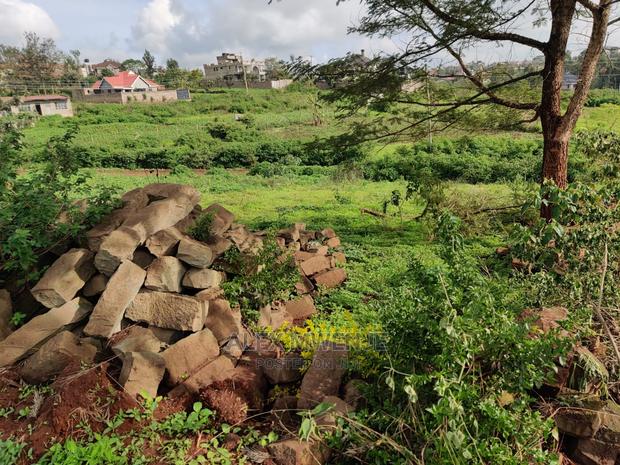 Croton Estate Kenyatta Road - thumbnail 5