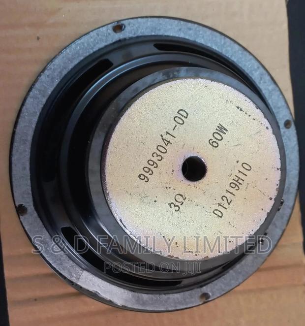 6 Inch Naked Speaker - main view