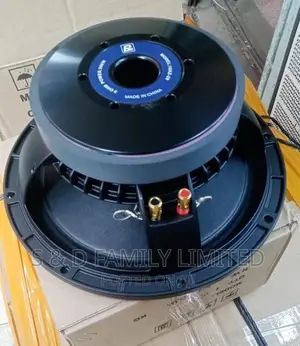 10 Inch Naked Speaker Bm10az20