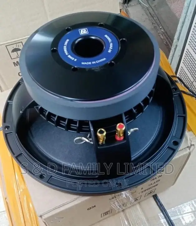10 Inch Naked Speaker Bm10az20