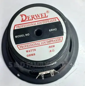 6 Inch Naked Speaker Derwel 6RH