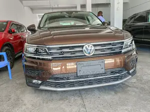 Volkswagen Tiguan 2018 Brown