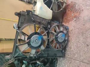 Axio 2010 Radiator Fan