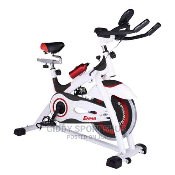 13kg Flywheel Spin Bike - main view